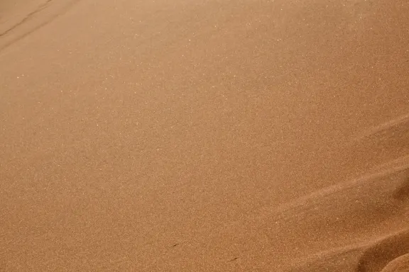 Казино Бинго Милионер Поддръжка